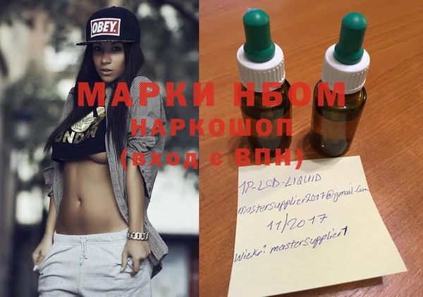 прущие грибы Алзамай