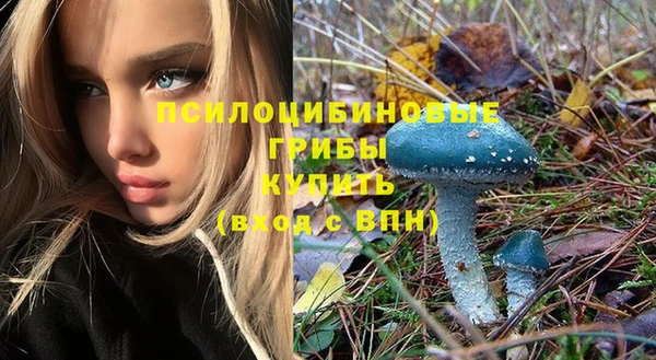 прущие грибы Алзамай