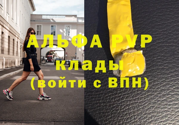 индика Абаза