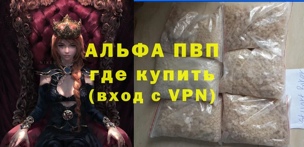 индика Абаза