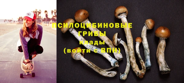 индика Абаза