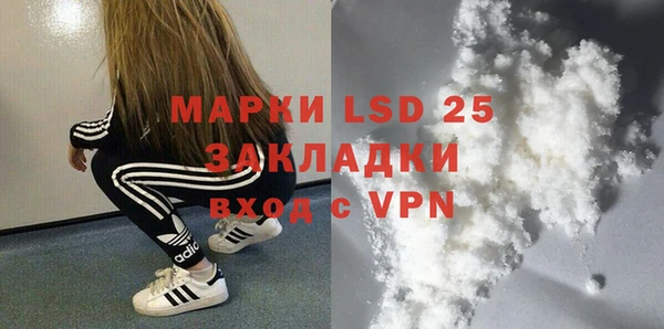 прущие грибы Алзамай