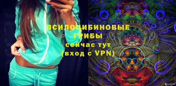 прущие грибы Алзамай
