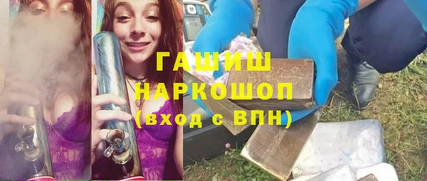 индика Абаза