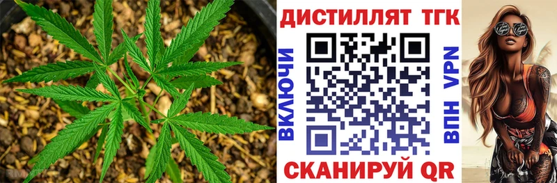 ТГК Wax  где продают   Куровское 